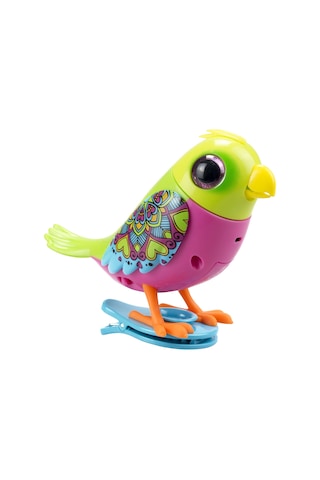 Digibirds Tekli Paket Seri 1 - Model 3