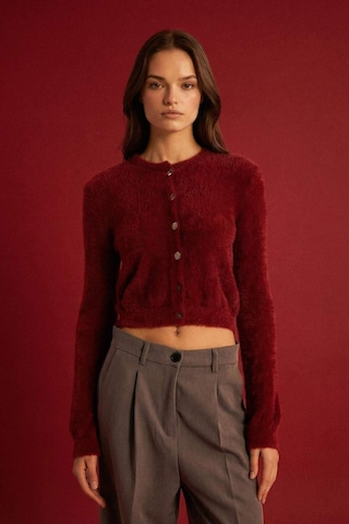 DeFacto Regular Fit Bisiklet Yaka Düğmeli Triko Bordo Hırka E2428AX24WNBR248 Bordo