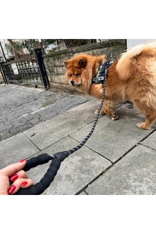 Köpek Gezdirme İpi Küçük Orta Büyük Irk Köpekler İçin 125 Cm Sevk Tasma Kayışı Reflektörlü