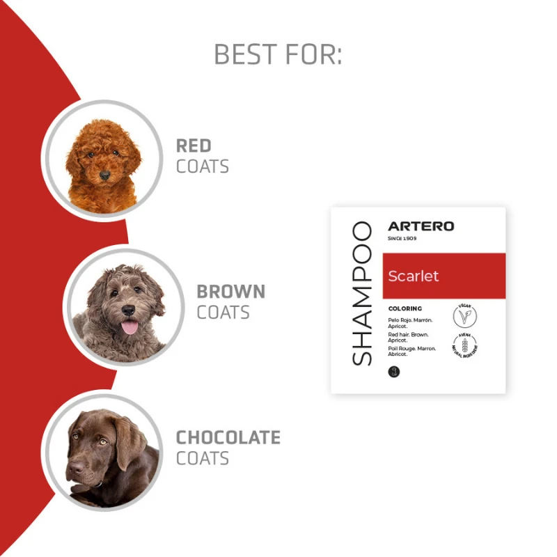 Scarlet Poodle Irkına Özel Renk Arttırıcı Şampuan 300 Ml