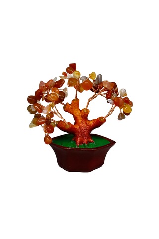 Karnelyan Doğal Taşlı Bonsai Hayat Ağacı Enerji, Tutku Ve Motiv