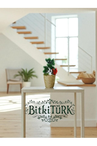 Bitkitürk-yapay Orman Dekoratif Saksıda Ofis Salon Hediye