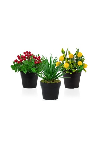 3’Lü Set Siyah Mini Plastik Saksıda Yapay Kokina, Aloe Vera Ve Li