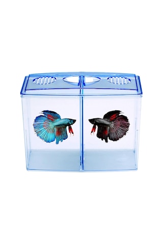 Suntek Masaüstü Ev Yatak Odası Için Küçük Beta Balık