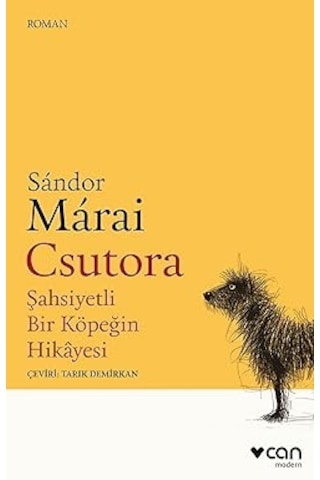Harry Potter Ve Sırlar Odası: 2. Kitap + Örümcek Burgacı + Csutora - Şahsiyetli Bir Köpeğin Hikayesi + 37 Kitap Set