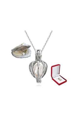 Saatcaddesi Istiridye Içi Gerçek Inci Kolye Kadife Istiridye Kutulu