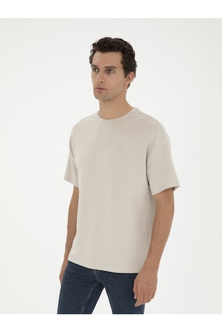 Taş Slim Fit Bisiklet Yaka T-shirt Gri
