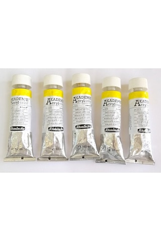 Akademie Akrilik Boya 60 Ml 223 Çok Renkli