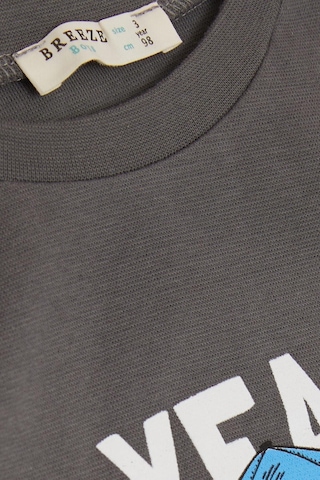 Breeze Girls & Boys Erkek Çocuk Uzun Kollu Tişört Şapkalı Havalı Aslancık Baskılı 1-4 Yaş, Füme-füme Füme