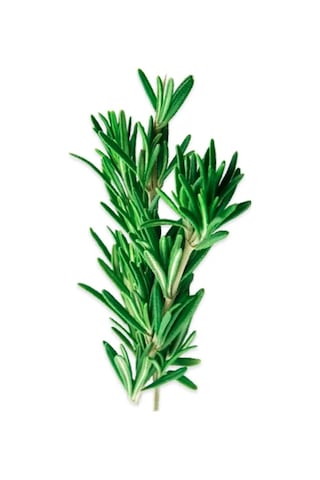 Erüst Yerli Biberiye 25 G