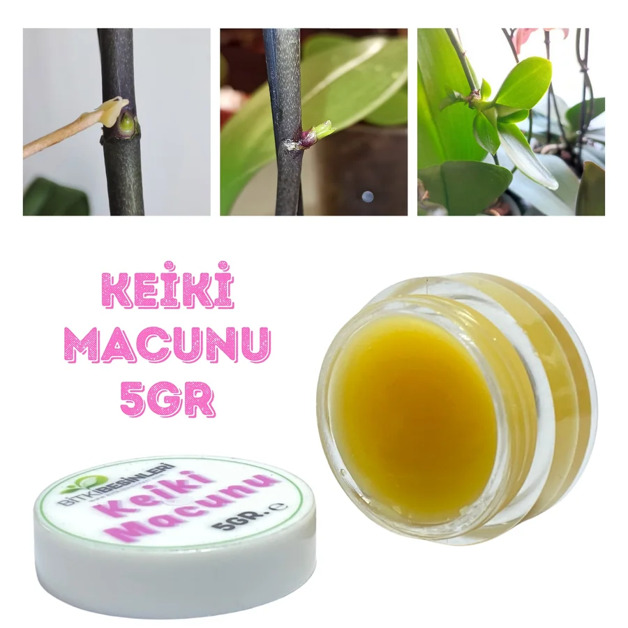 Keiki Macunu Orkide Ve Bitki Çoğaltma Dal Çıkarma 5gr 10