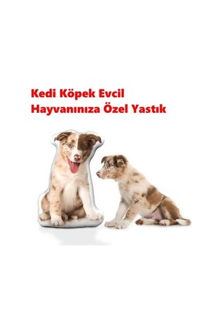 Kişiye Özel Kedi Köpek Evcil Hayvanınıza Özel Yastık Çok Renkli