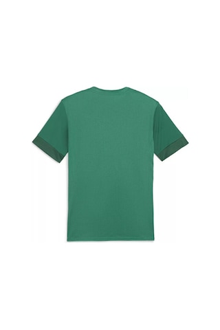Puma Teamgoal Matchday Jersey Erkek Futbol Antrenman Tişörtü 70574705 Renkli Renkli Çok Renkli