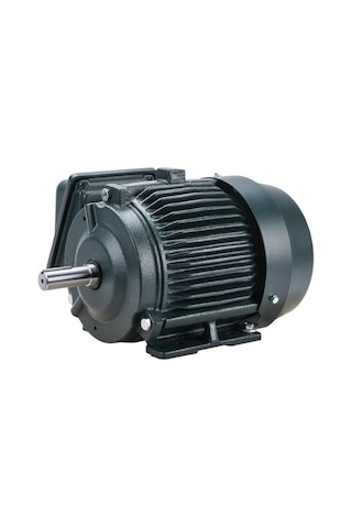Toshiba Eqp Global Sd 2 Hp 1.5 Kw 1750 Rpm Nema 145t Elektrik Motoru 0024sdsr41a-p