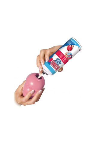 Kong Puppy Küçük Irk Yavru Köpek Isırma Oyuncağı Xs