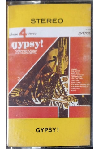 Plak Değildir Kaset Tir Gypsy Kaset