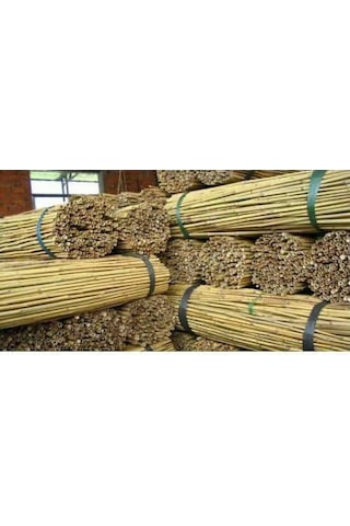 Bambu Bitki Destek Çubuğu 75 Cm 20 Adet