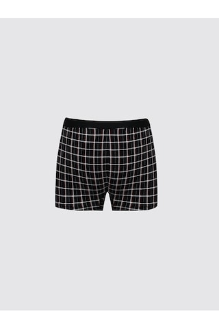 Ltb Boxer (547239877)
