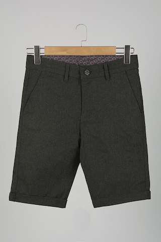 Terapi Men Erkek Haki Slim Fit Keten Şort Haki