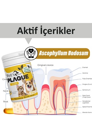 Vet's Health Plaqueclean Kedi Köpek Diş Taşı Tartar ve Plak Giderici 50 G