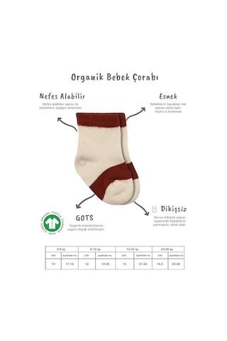 Akıllı Bayi 3'lü Penye Rainbow Soket Çorap Bs10113 Kiremit renkli