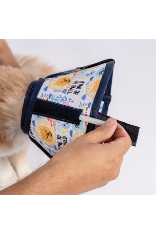 Petsuit Elizabeth Yakalık Kedi Siyah, Rahat Ve Ayarlanabilir Koruma Boyunluğu Kedi Yakalık