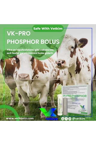 Vk-pro Phosphor Bolus - 48 Adet 185 Gr Yutturma Aparatı Hediyeli