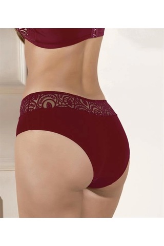 Fevien Slip Külot Bordo Brf21821 Bordo