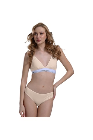 Likralı 6'lı Kutu Premium Slip Külot Laura G-006 C Resimdeki Renk