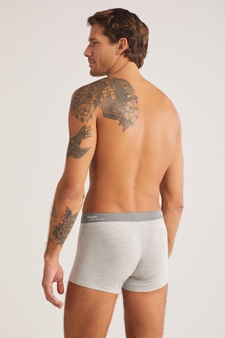 Pierre Cardin Kom Tight Gri 2'li Şort Boxer 2'li Avantajlı Paket Gri