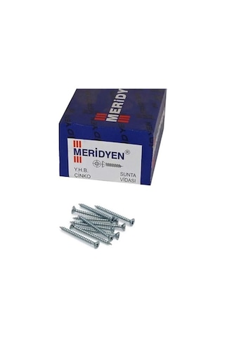 Meridyen Sunta Vidası 3.0x16 Mm Diğer