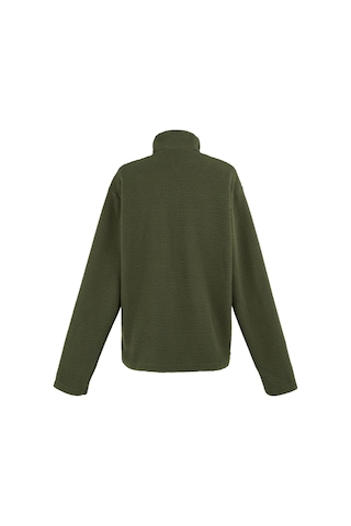 Regatta Frankie Borg Fleece Erkek Polar - Haki