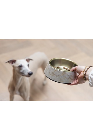 Beeztees Dbl Köpek Mama Su Kabı, Mat Altın Rengi Paslanmaz Çelik, Bej Mermer Görünümlü, 17,5cm, 350m