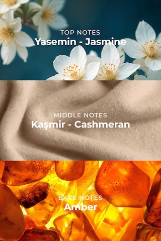 Armasari Alien Flora Kalıcı Kadın Parfüm 50ml Oryantal & Odunsu Yasemin, Kaşmir, Amber Çiçeksi - Oryantal