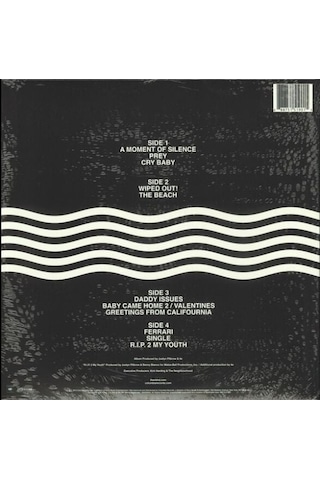 The Neighbourhood Wiped Out Double Lp Plak