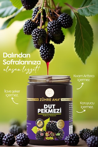 Katkısız Doğal Dut Pekmezi 400 Gr