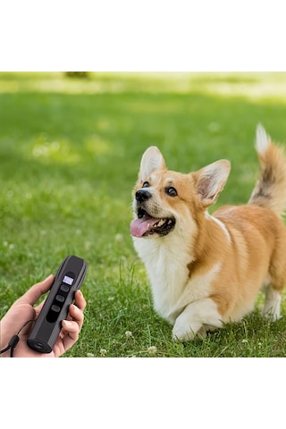 Willowhaven Portable Köpek Kovucu 3 Kanal Sesli Ultrasonik Caydırıcı El Feneri Siyah 1 Adet