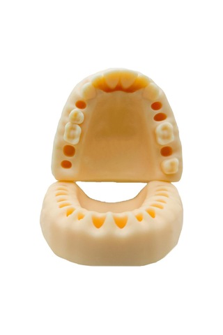 Barışhan Medikal Silikon Çene Diş Dikiş Modeli Ortodontik Alt Üst Çene Periodontal Sütür Eğitim Modeli-4