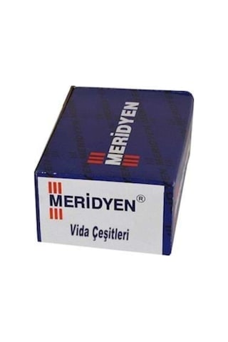 Merdiyen Sunta Vidası 4x35 500adet Vida