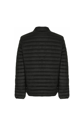 Lumberjack Star Erkek Mont 101688094 001