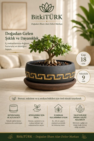 Dekoratif Desenli Beton Bonsai Saksısı Ve Altlık Seti 18 Cm Sukulent Ve İç Mekân Bitkileri İçin El Yapımı Saksı -