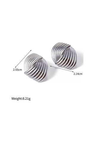 Kadın Özel Tasarım Küpe Zyn12-5080 Gümüş