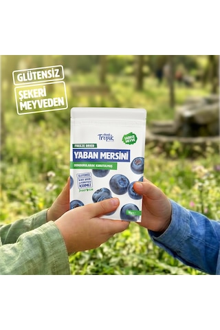 Dondurularak Kurutulmuş Yaban Mersini 18 G Freeze Dried Meyve Cipsi Çıtır Meyve Kurusu 3 Adet