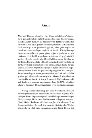Testereli Katil Dedektif Anjelica Henley Serisi 1 Nadine Matheson