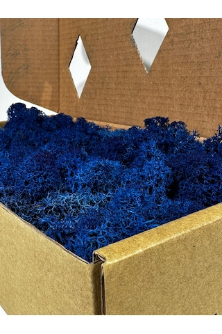 Reindermoss Şoklanmış Norveç Yosunu Terarium Yosunu Mavi 5 Kg.