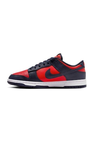Nike Dunk Low Retro Dv0833-601 Çok Renkli