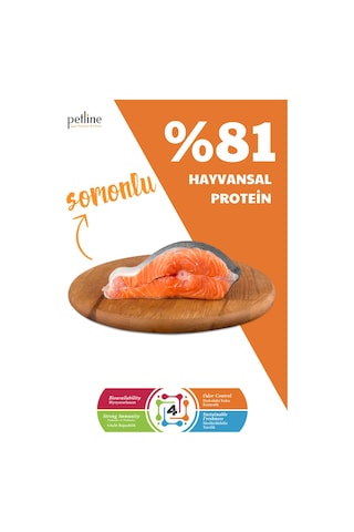 Petline Sensitive Skin & Coat Deri ve Tüy Sağlığı İçin Somonlu Yetişkin Kuru Köpek Maması 2 x 12 KG