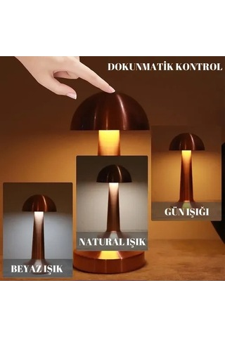Hubrendy Emin Dekoratif Led Masa Lambası 3 Renk Modlu 16022316