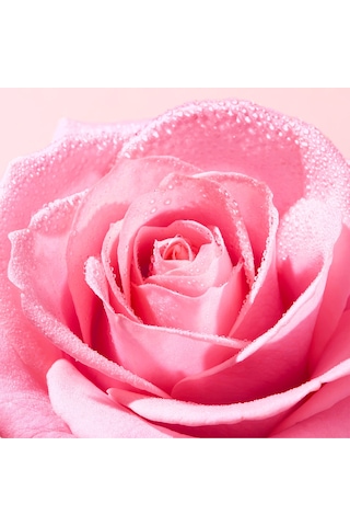 Very Rose Soothing Cleansing Gel 150 Ml