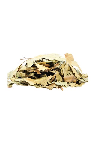Çınar Yaprağı 100 Gr Paket